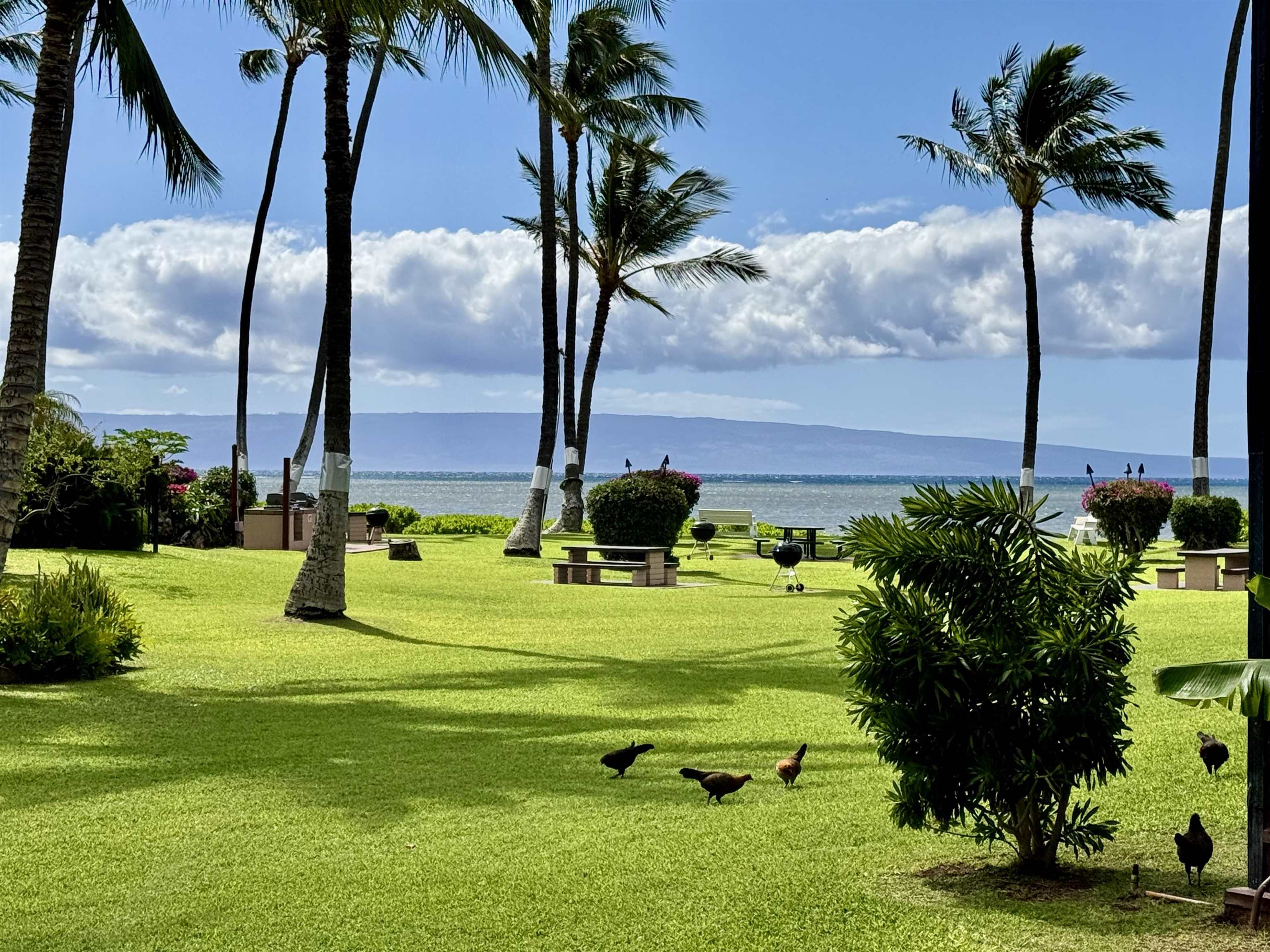 Maui Property Image