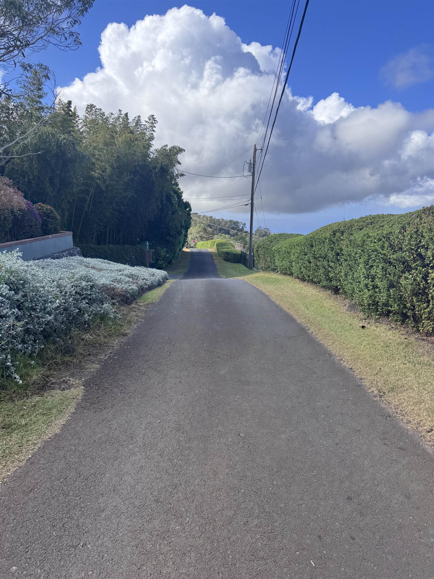 Maui Property Image