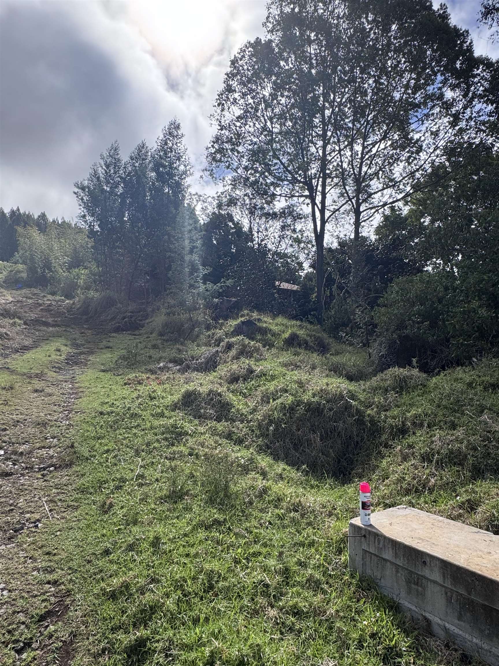 Photo of  middle Rd, Kula/Ulupalakua/Kanaio, Maui, Hawaii