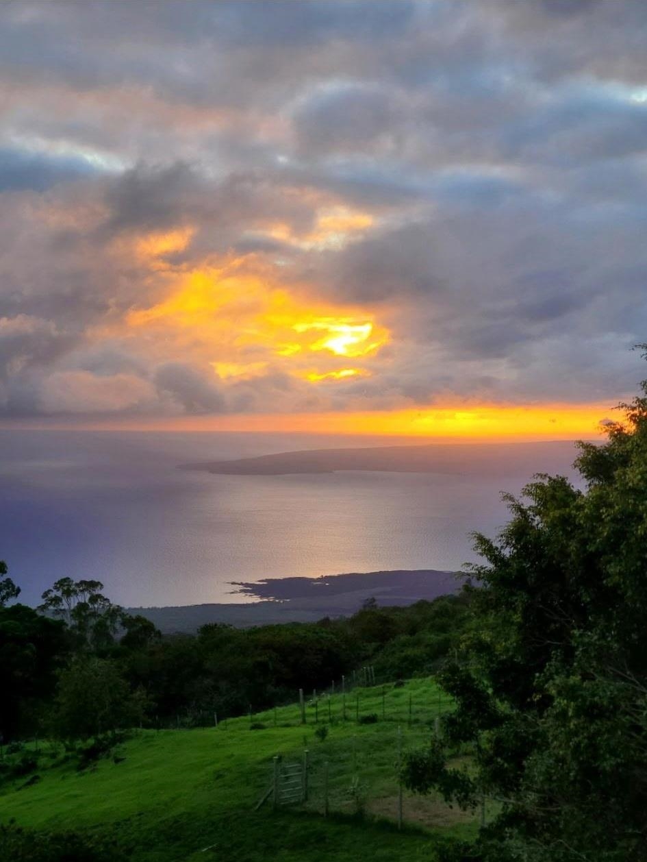 Maui Property Image