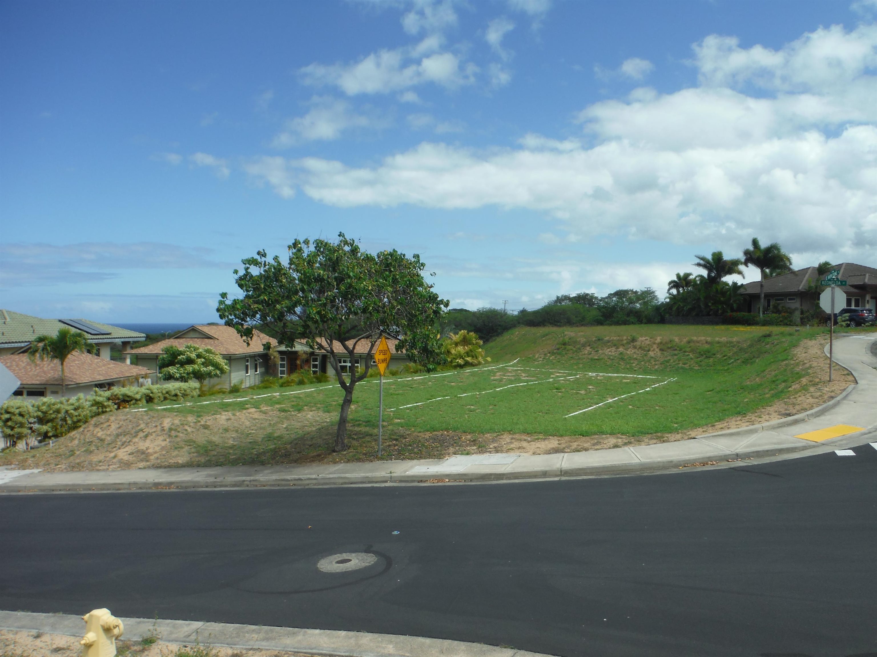 Maui Property Image