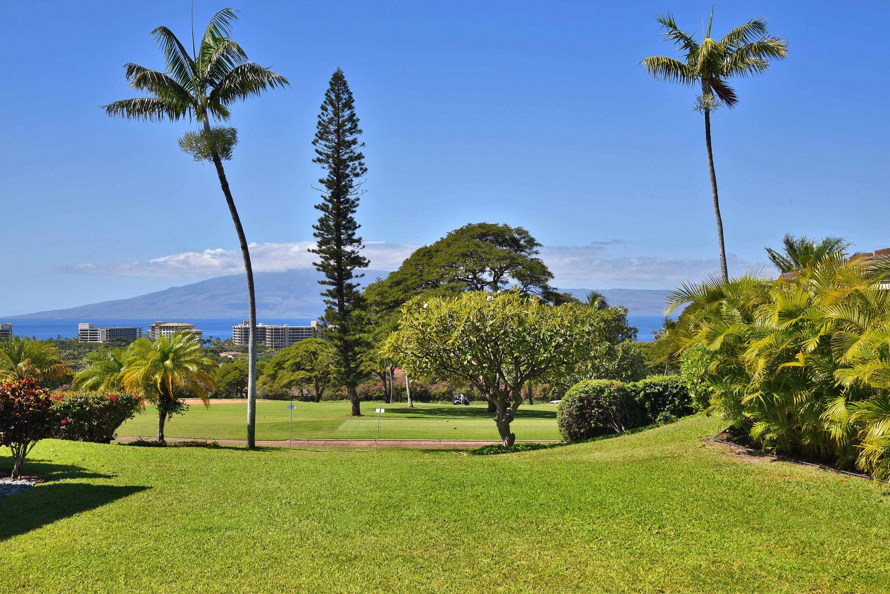 Maui Property Image