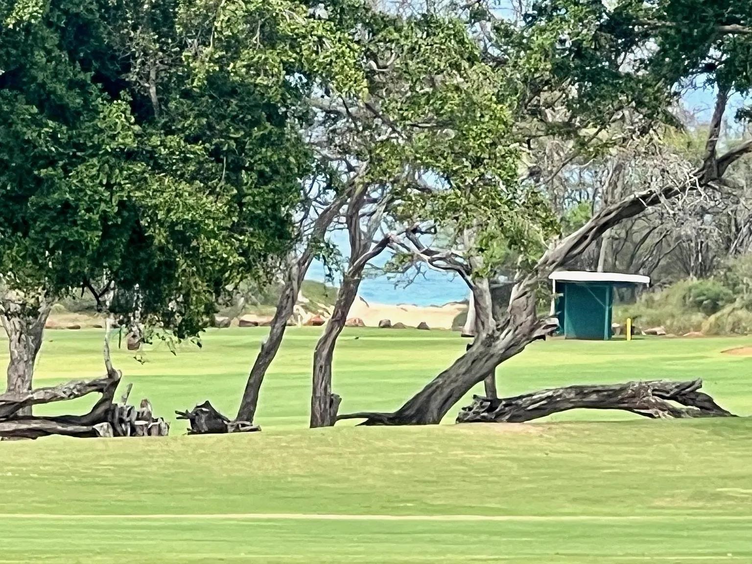 Maui Property Image