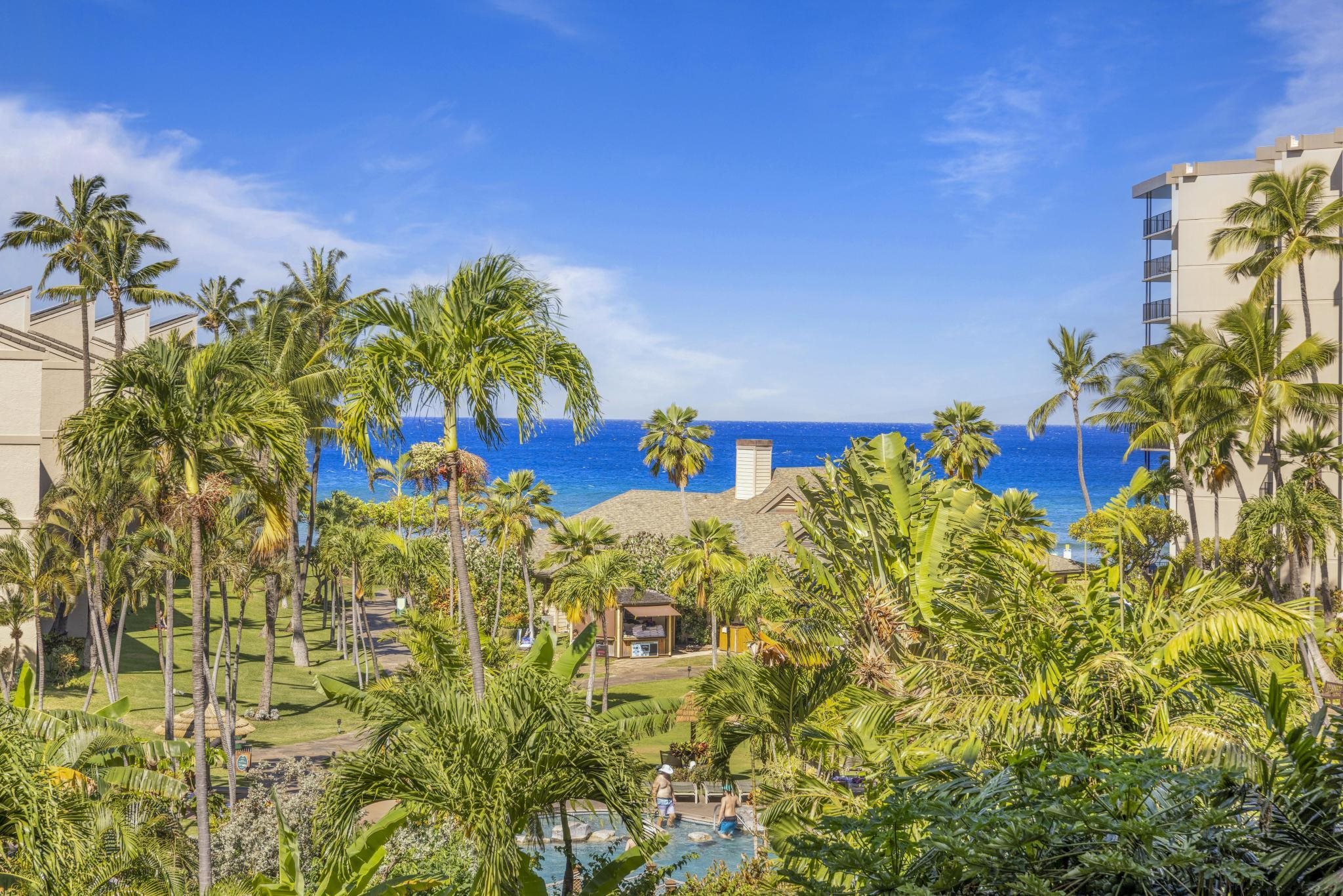 Maui Property Image