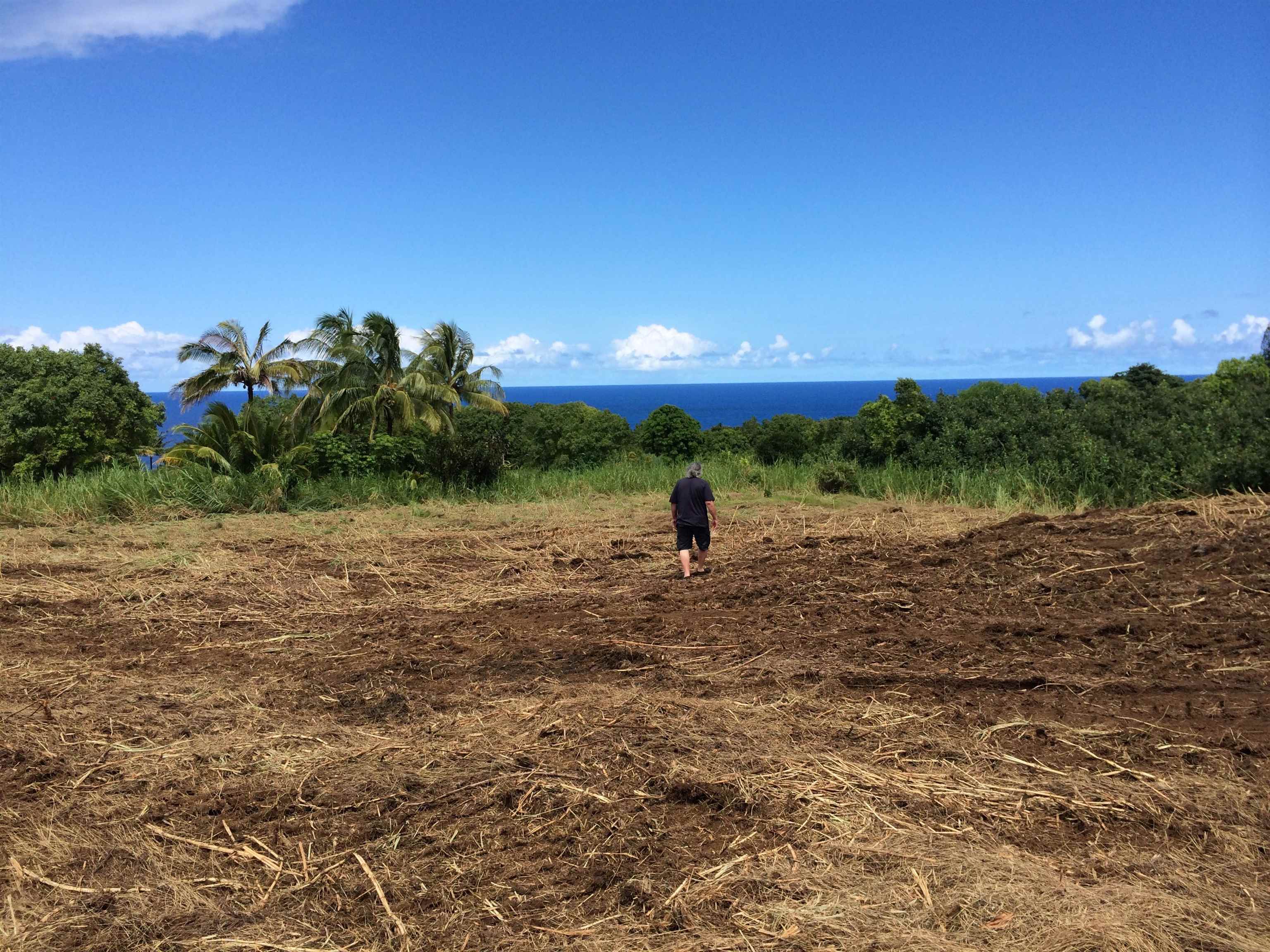 Photo of  L. Nahiku Rd, Nahiku, Maui, Hawaii