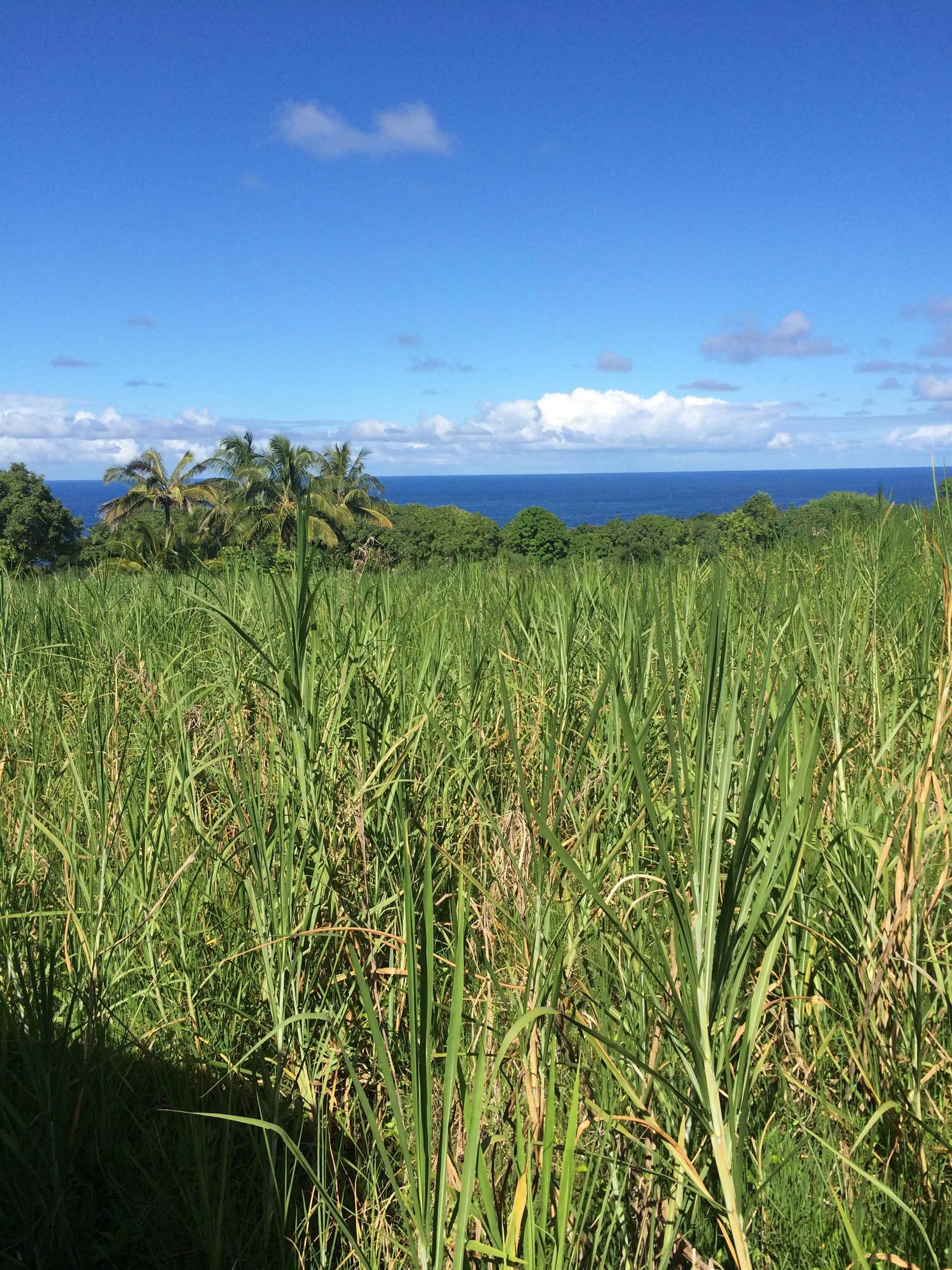 Photo 2 of  L. Nahiku Rd, Nahiku, Maui, Hawaii