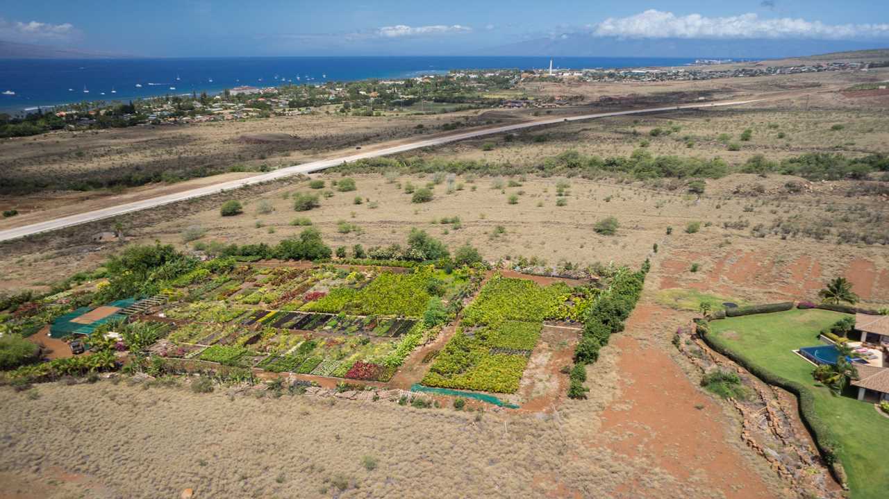 Maui Property Image