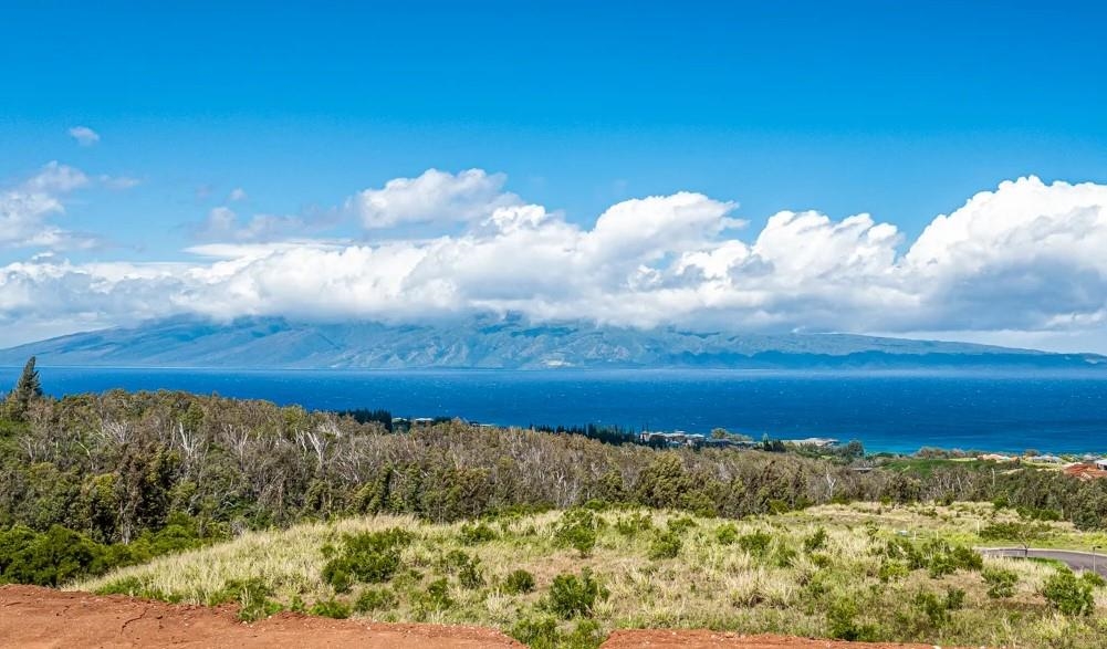 Maui Property Image