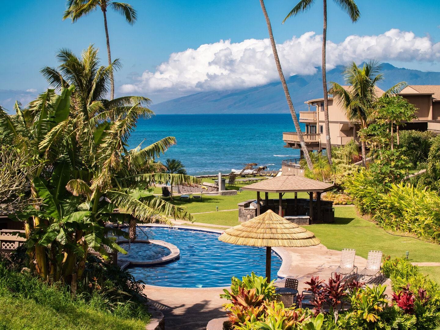 Maui Property Image